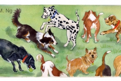 9 Dogs at Play 9 Dogs at Play
