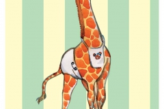 Baby Boy Giraffe