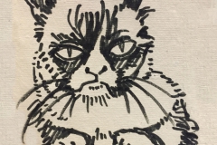 Grumpy Cat Grumpy Cat